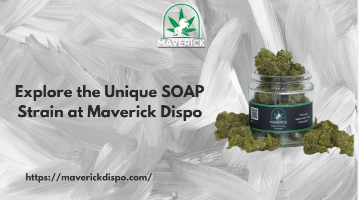 Explore the Unique SOAP Strain at Maverick Dispo