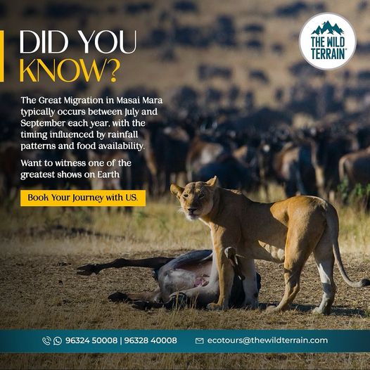 The Ultimate Guide to Guided Wildlife Tours: Capturing Nature's Majesty 1 The Ultimate Guide to Guided Wildlife Tours: Capturing Nature’s Majesty