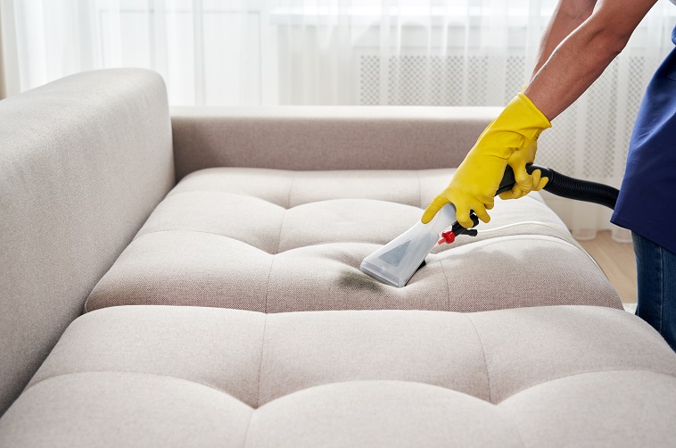 Affordable Couch Cleaning Solutions for Busby Residents