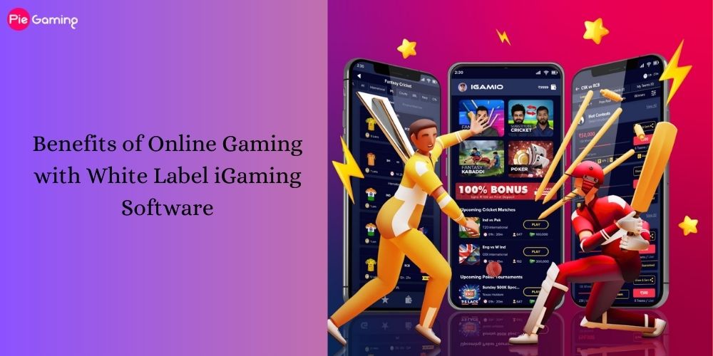 Benefits of Online Gaming with White Label iGaming Software
