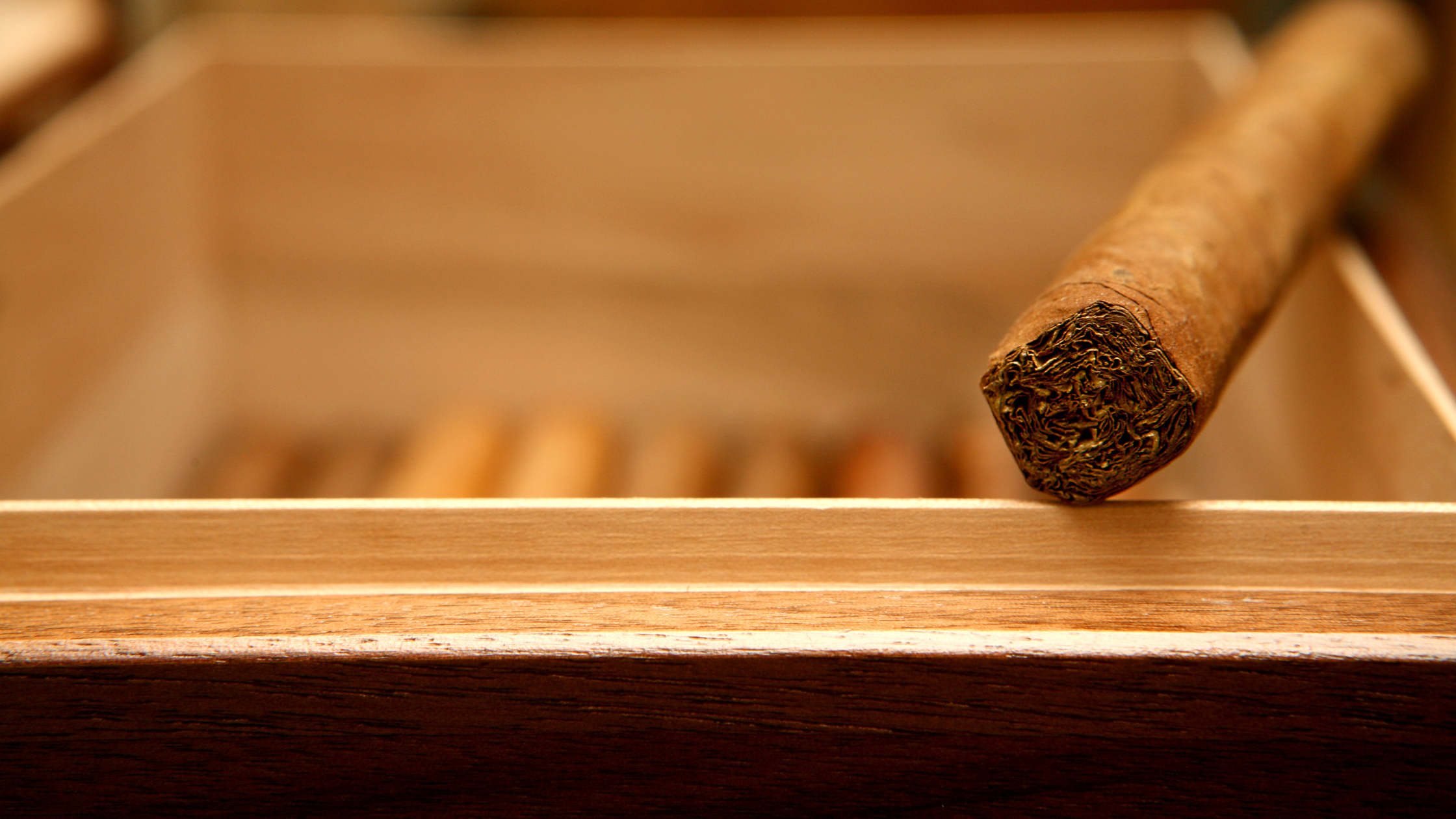 Unknown Mistakes People Make When Book Cigar Rolling Services 1 Unknown Mistakes People Make When Book Cigar Rolling Services