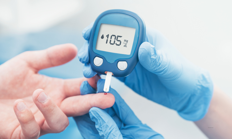 Diabetic Food Market Size and Share Forecast Report 2024-2032