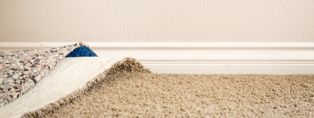 How To Clean Mold From Carpet?