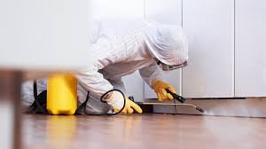 Why Pest Control Services are Required in Bond Cleaning?