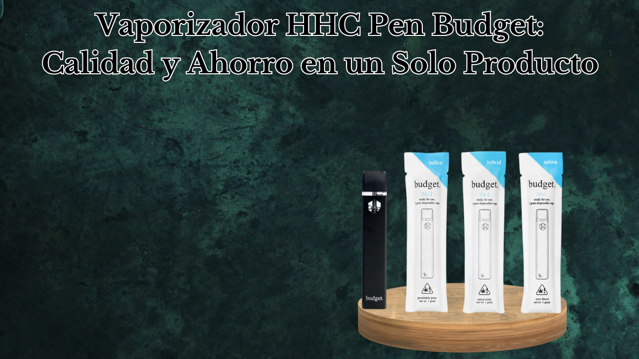 Vaporizador HHC Pen Budget: Calidad y Ahorro en un Solo Producto 1 Vaporizador HHC Pen Budget: Calidad y Ahorro en un Solo Producto