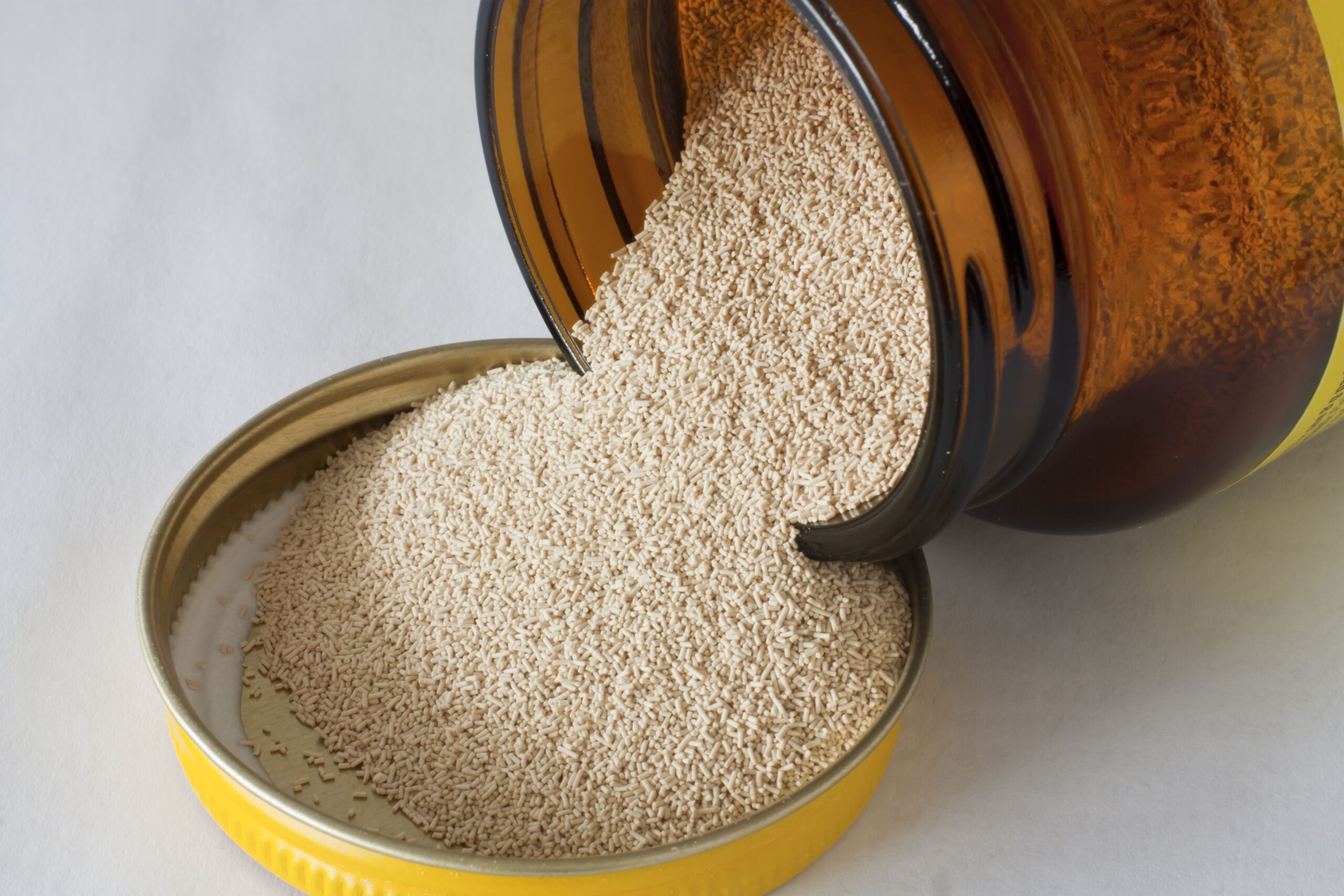 Cost Analysis for Setting up a Yeast Manufacturing Unit | Report by IMARC Group