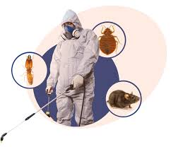 Spotting Crickets in NYC: A Handy Guide to Identification and When to Call an Exterminator" 1 download 10