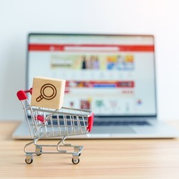 Why Every Ecommerce Business Needs an SEO Agency in 2024