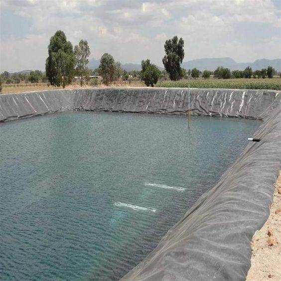 Can I Buy Pond Lining Sheets At An Affordable Price?