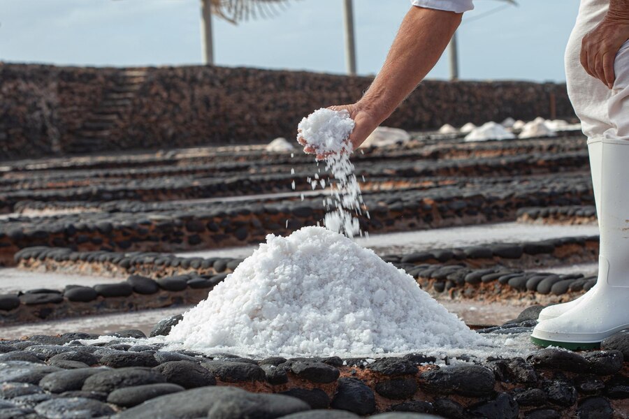 Understanding the Salt Manufacturing Process in India: A Comprehensive Guide