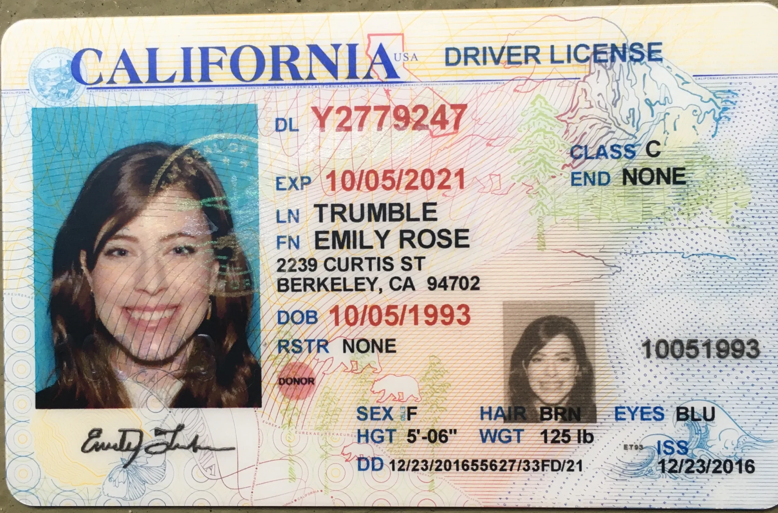 California Driver’s License Template | Editable & Blank Designs