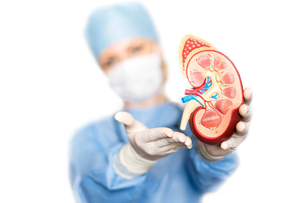 Kidney Doctor-Recommended Lifestyle Changes for Kidney Disease