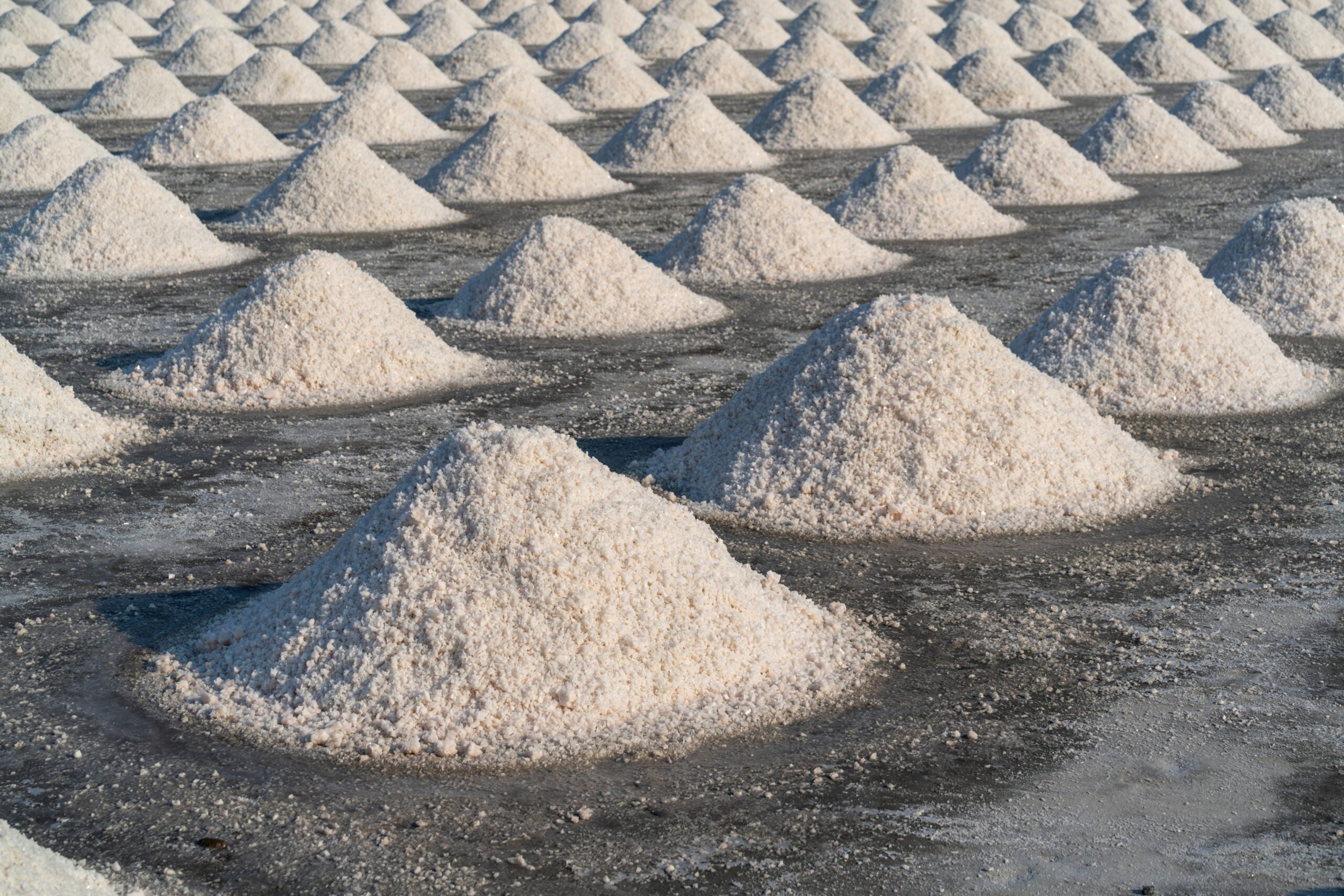 How to Choose the Best Salt Exporter for Your Business Needs