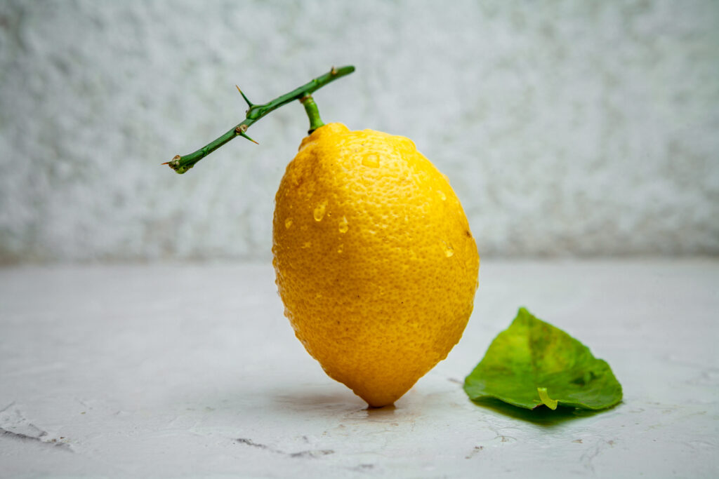 A Comprehensive Guide to Lemon Farming in India 2 side view lemon with branch with leaf white textured background horizontal