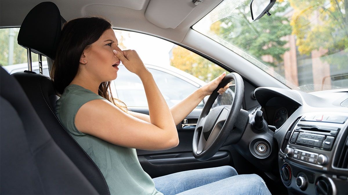 How To Remove Dog Odor From Car 1 How To Remove Dog Odor From Car