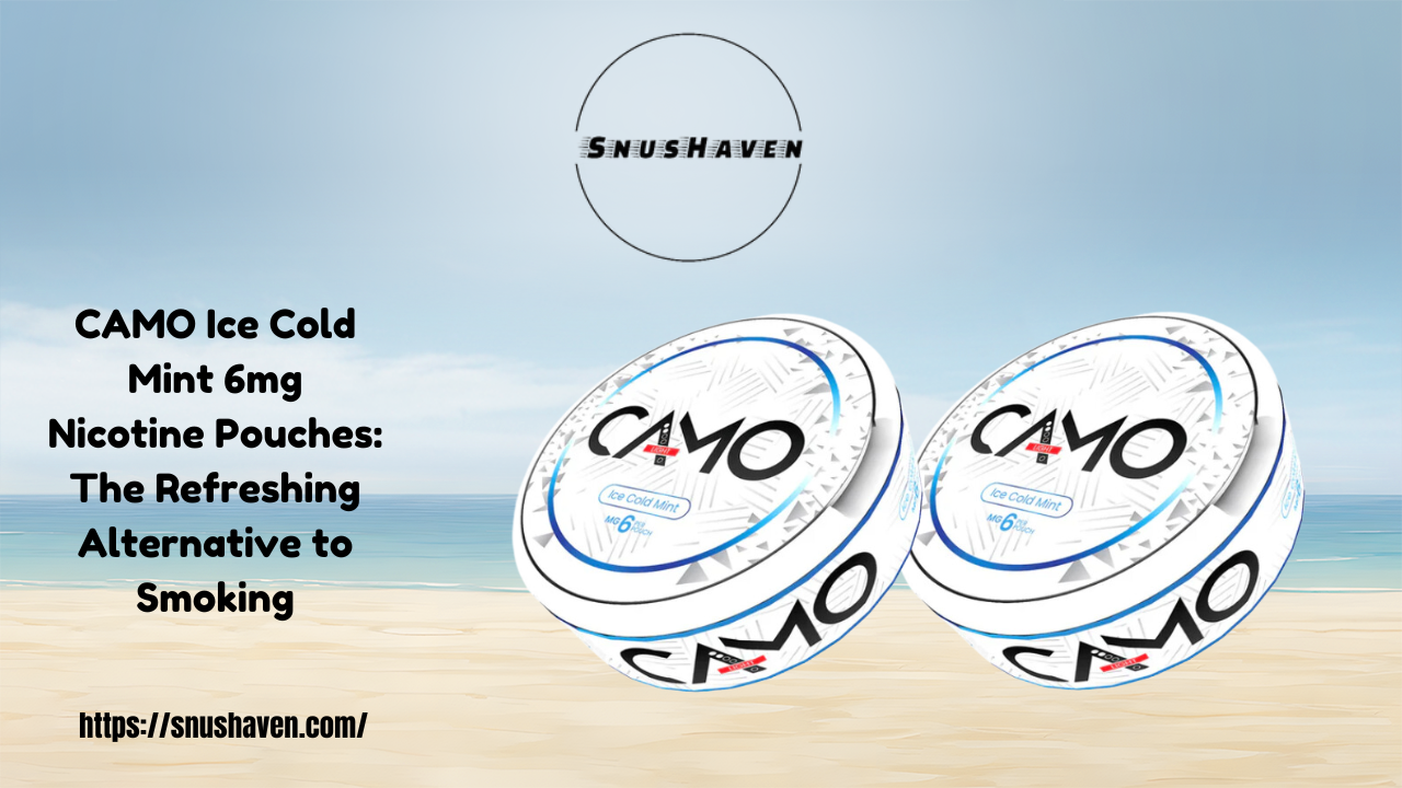 CAMO Ice Cold Mint 6mg Nicotine Pouches: The Refreshing Alternative to Smoking 1 CAMO Ice Cold Mint 6mg Nicotine Pouches: The Refreshing Alternative to Smoking