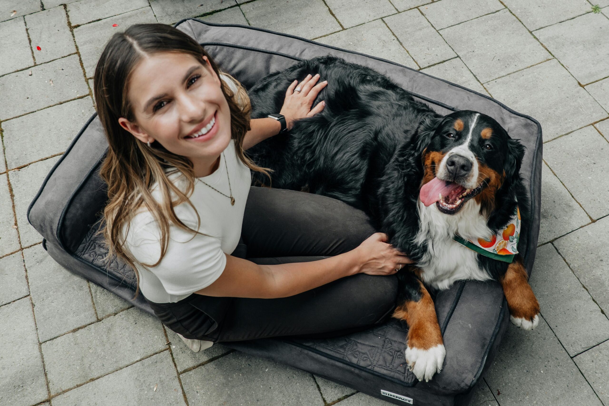 Finding the Right Dog Boarding in Gurgaon 1 Finding the Right Dog Boarding in Gurgaon