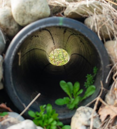 How French Drain Installation Can Enhance Your Property’s Value 1 How French Drain Installation Can Enhance Your Property’s Value