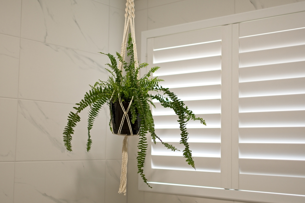 Transform Your Home with Plantation Shutters in Geraldton