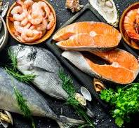 Global Seafood Market Size Forecast Report 2024-2032 1 Global Seafood Market Size Forecast Report 2024-2032