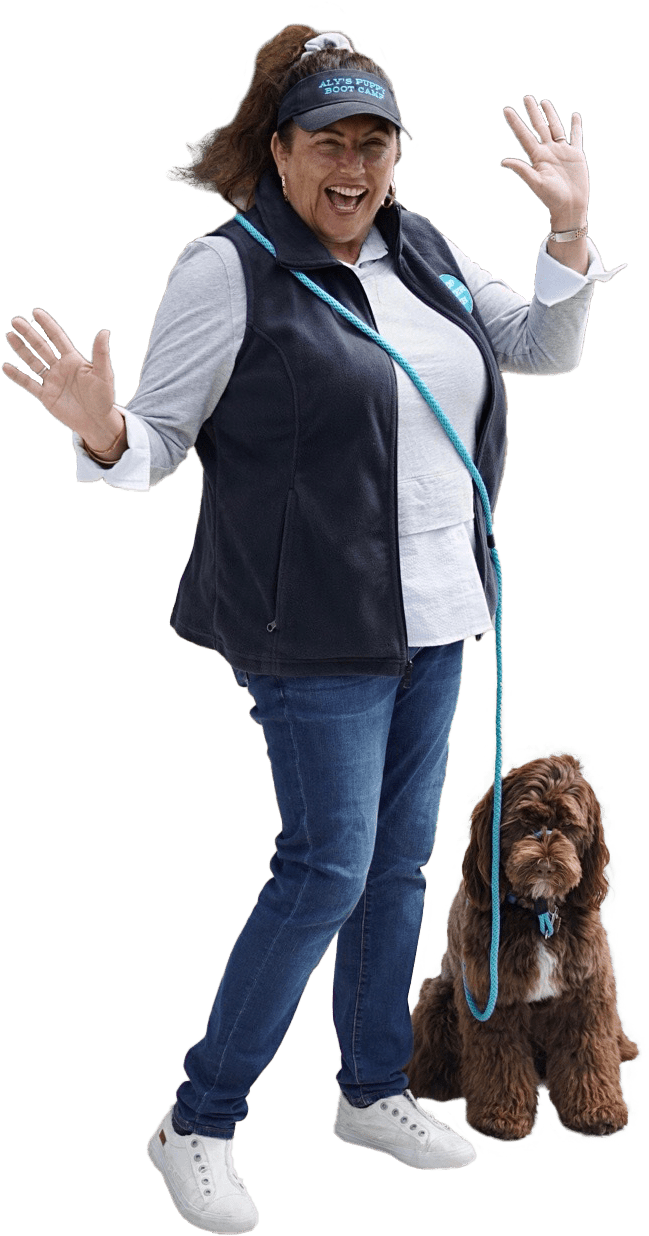 Why the Good Walker Leash Enhances Your Dog Walks 1 Why the Good Walker Leash Enhances Your Dog Walks