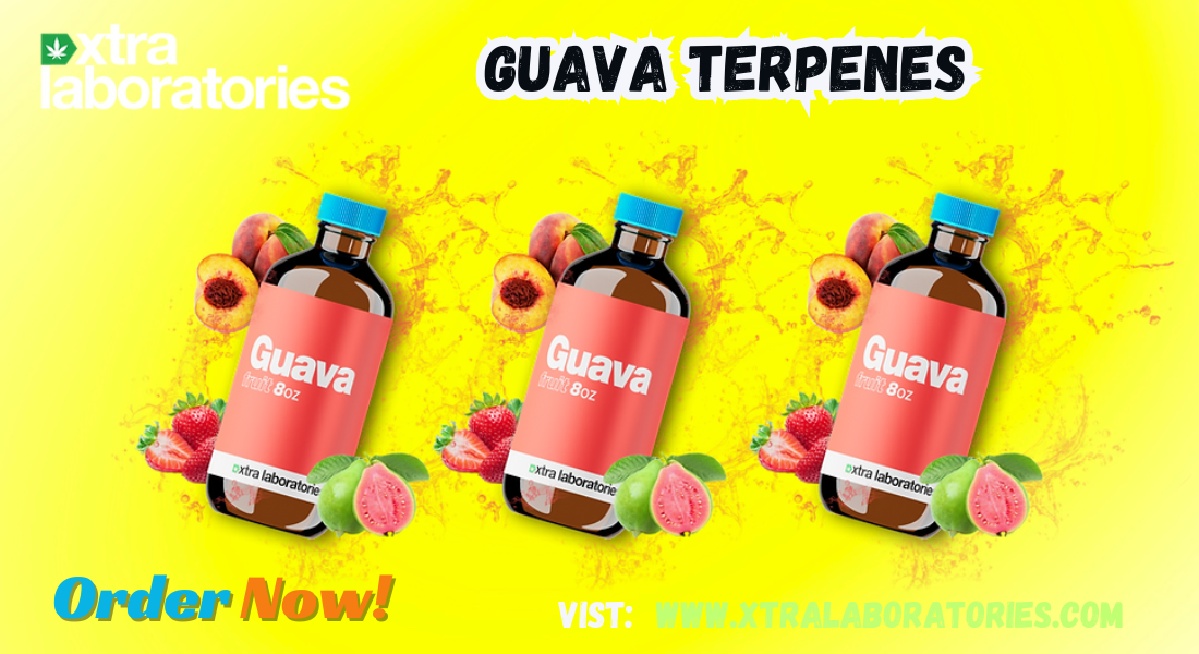 Guava Terpenes: Premium Flavor by Xtra Laboratories 1 Guava Terpenes: Premium Flavor by Xtra Laboratories