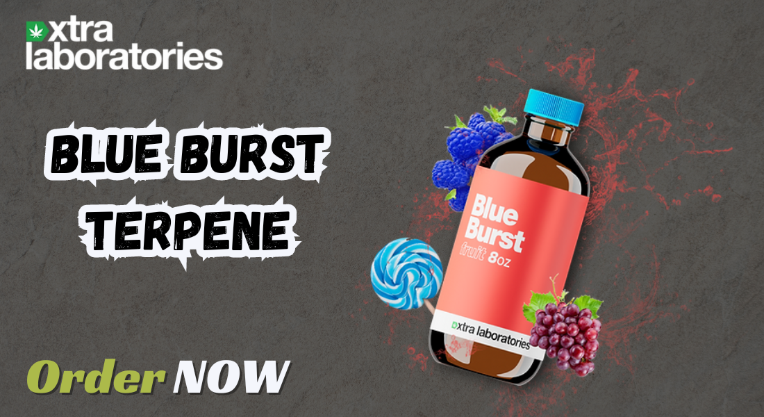 Blue Burst Terpene: Elevate Your Product Line with Premium Flavor