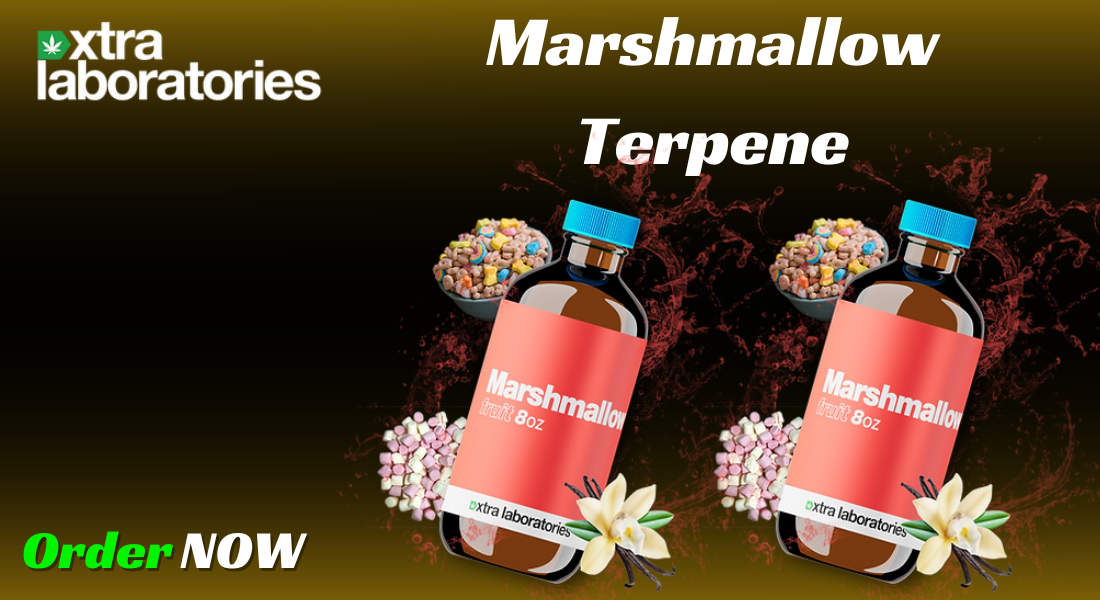 Experience the Sweetness of Marshmallow Terpene by Xtra Laboratories 1 Experience the Sweetness of Marshmallow Terpene by Xtra Laboratories