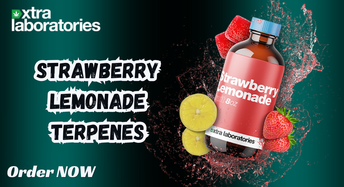 Strawberry Lemonade Terpenes: Experience the Perfect Flavor Blend by Xtra Laboratories 1 Strawberry Lemonade Terpenes: Experience the Perfect Flavor Blend by Xtra Laboratories