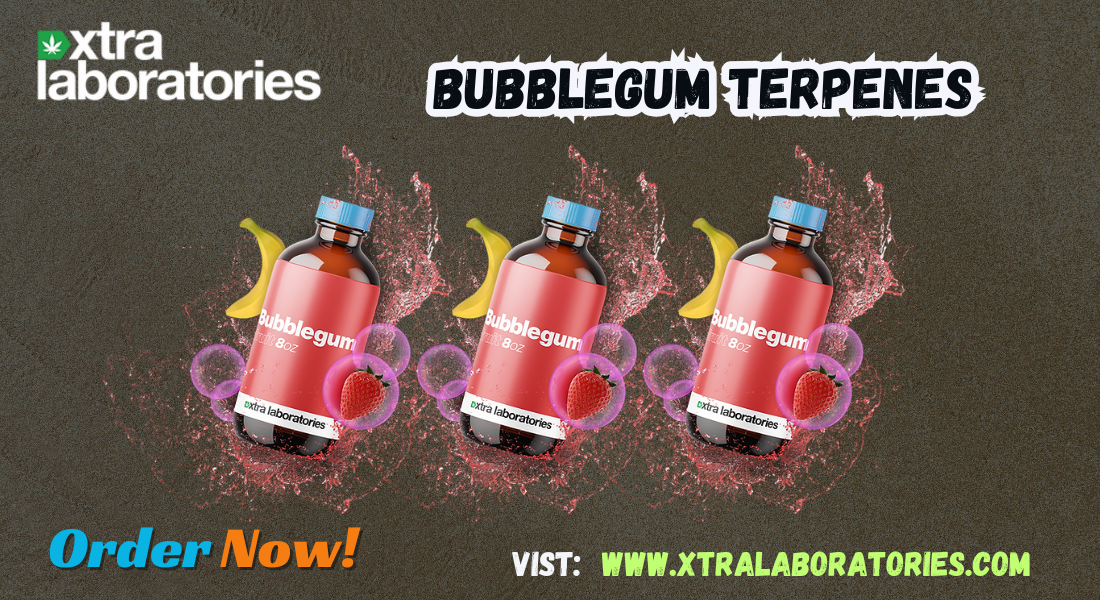 Bubblegum Terpenes: A Sweet Flavor Experience by Xtra Laboratories 1 Bubblegum Terpenes: A Sweet Flavor Experience by Xtra Laboratories