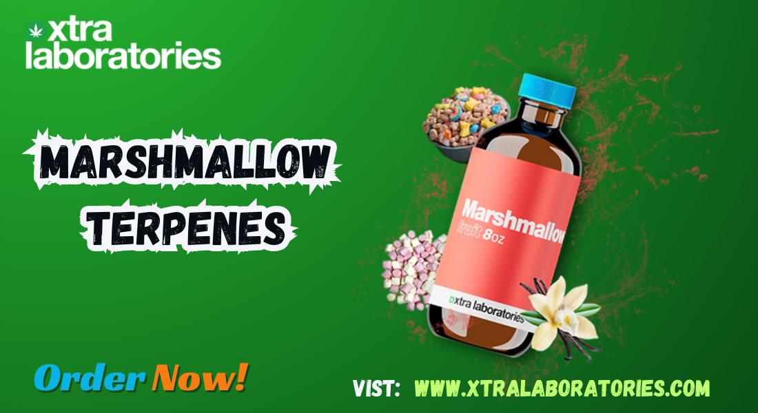 Indulge in Sweetness: Marshmallow Terpenes by Xtra Laboratories 1 Indulge in Sweetness: Marshmallow Terpenes by Xtra Laboratories