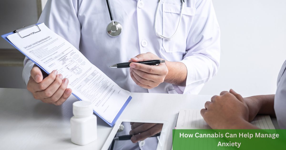 Unlocking Natural Calm: How Cannabis Can Help Manage Anxiety 1 Unlocking Natural Calm: How Cannabis Can Help Manage Anxiety