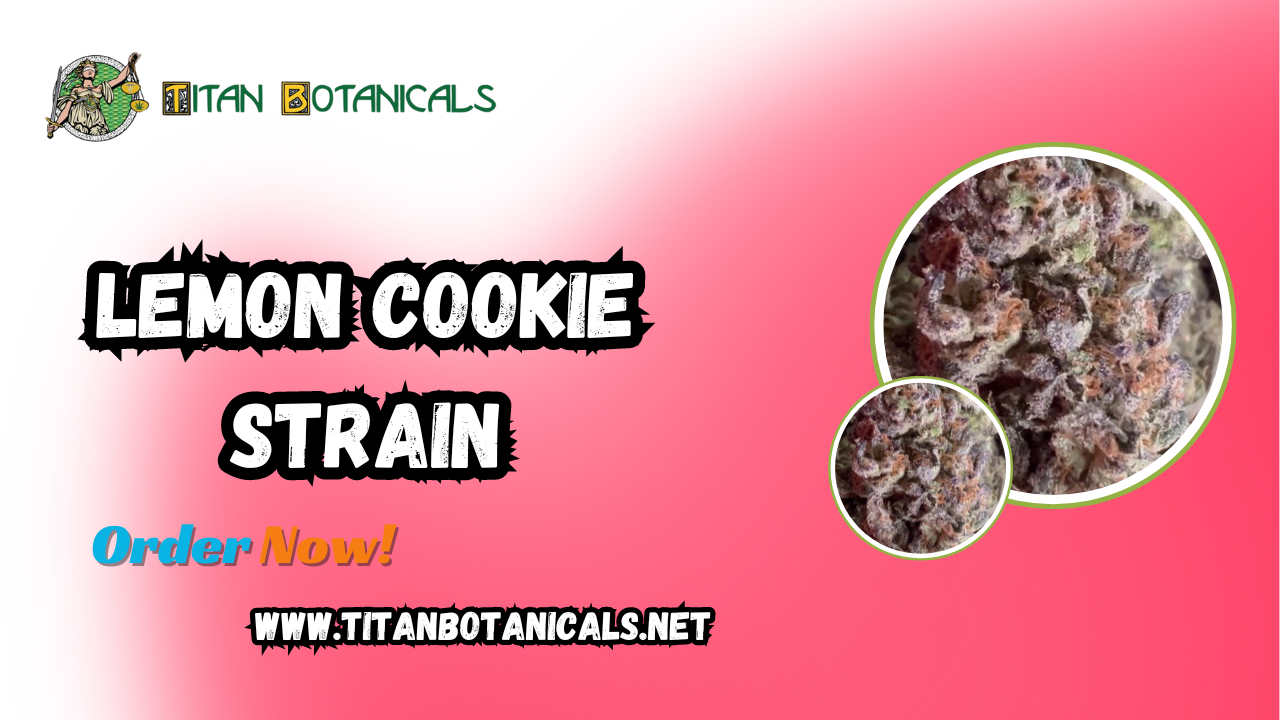 Discovering the Lemon Cookie Strain: A Citrus Delight for Cannabis Lovers