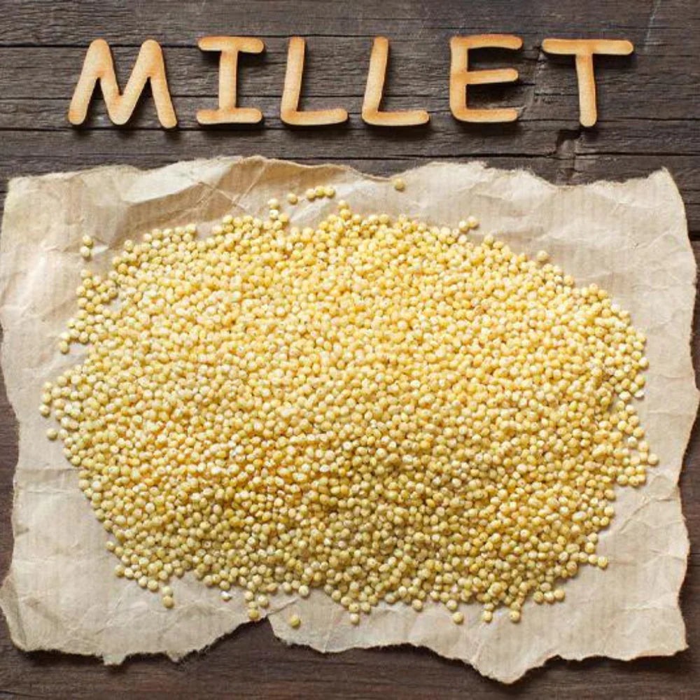 Detailed Report on Millet Processing Plant Setup Cost, Layout and Raw Material Requirements