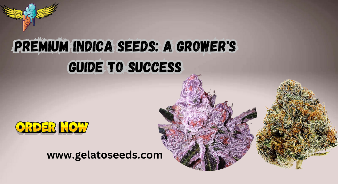 Premium Indica Seeds: A Grower's Guide to Success 1 Premium Indica Seeds: A Grower’s Guide to Success