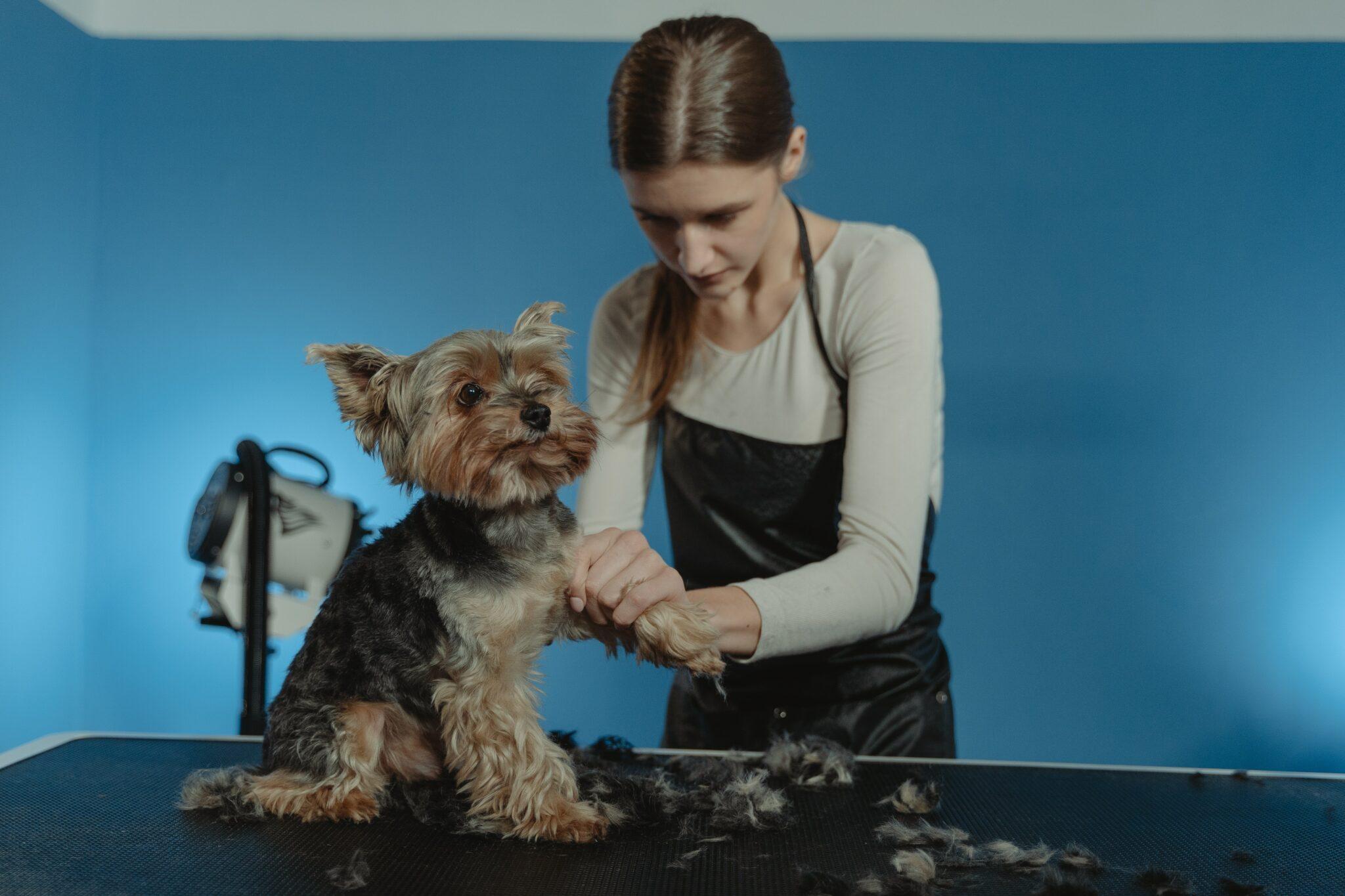Grooming Secrets for a Happier, Healthier Dog 1 Grooming Secrets for a Happier, Healthier Dog