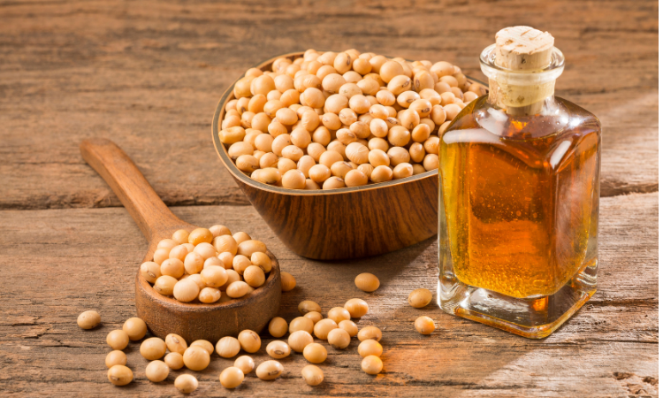 Soybean Oil Market Size And Forecast Report 2024-2032 1 Soybean Oil Market Size And Forecast Report 2024-2032