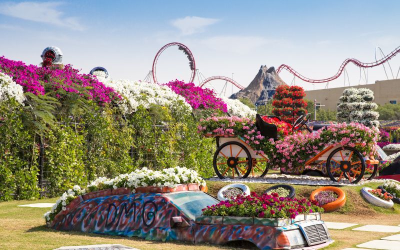 Top 10 Instagramable Spots in Dubai Miracle Garden   