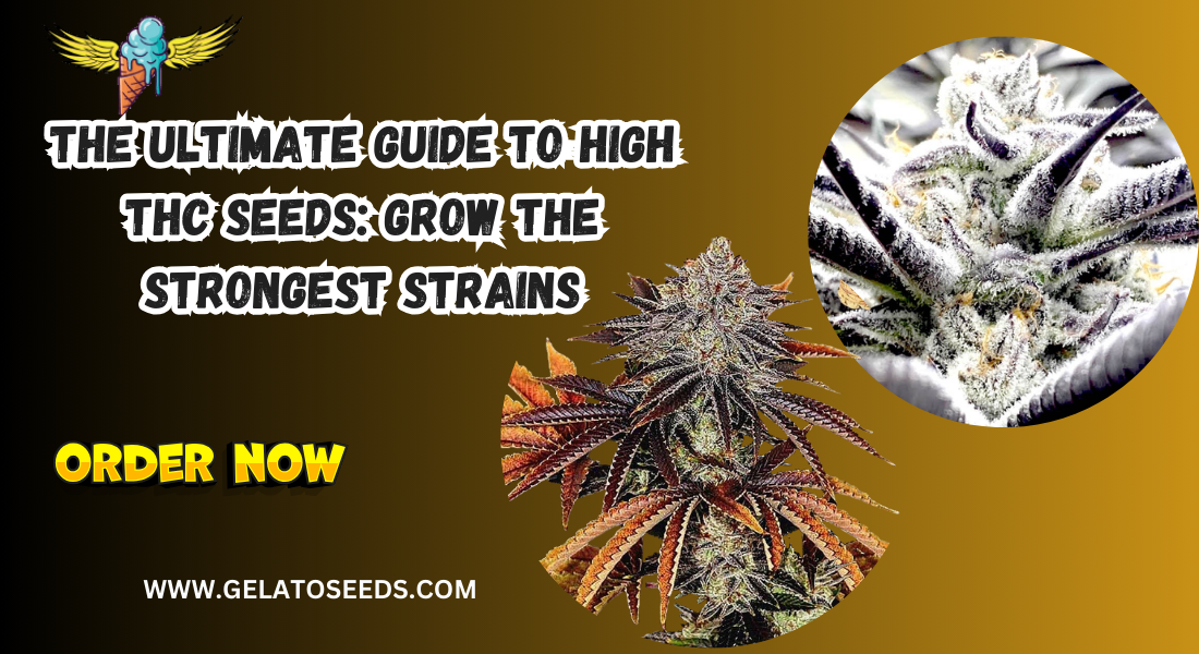The Ultimate Guide to High THC Seeds: Grow the Strongest Strains