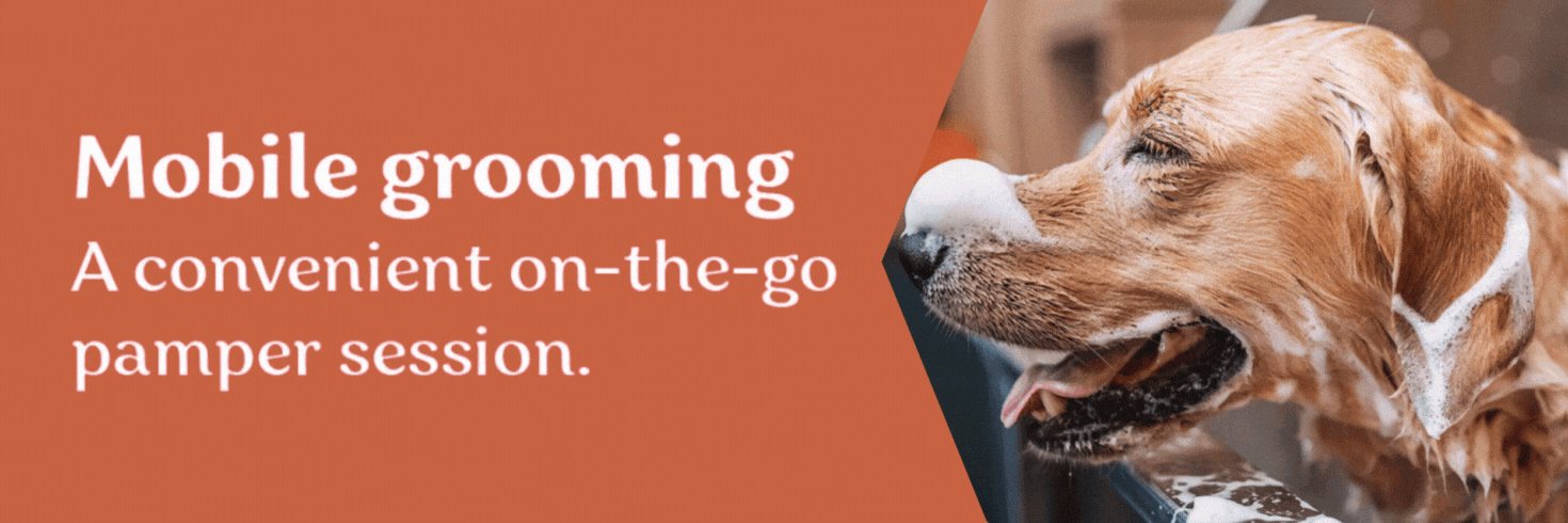 Mobile Dog Grooming Dubai 1 Mobile Dog Grooming Dubai
