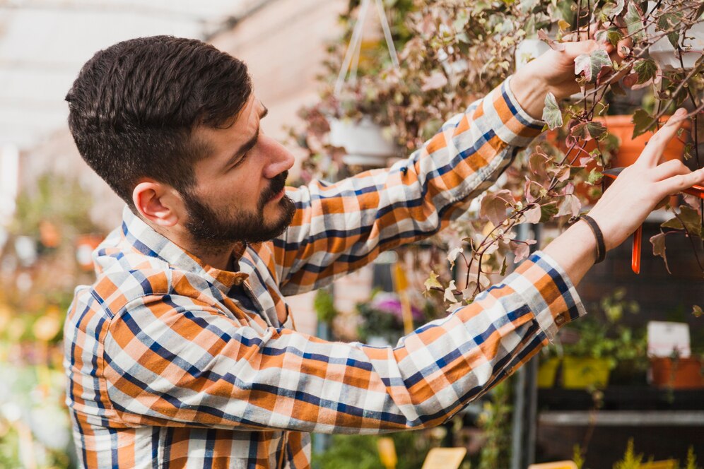 What is a Level 5 Arborist? Understanding the Role of a Tree Expert