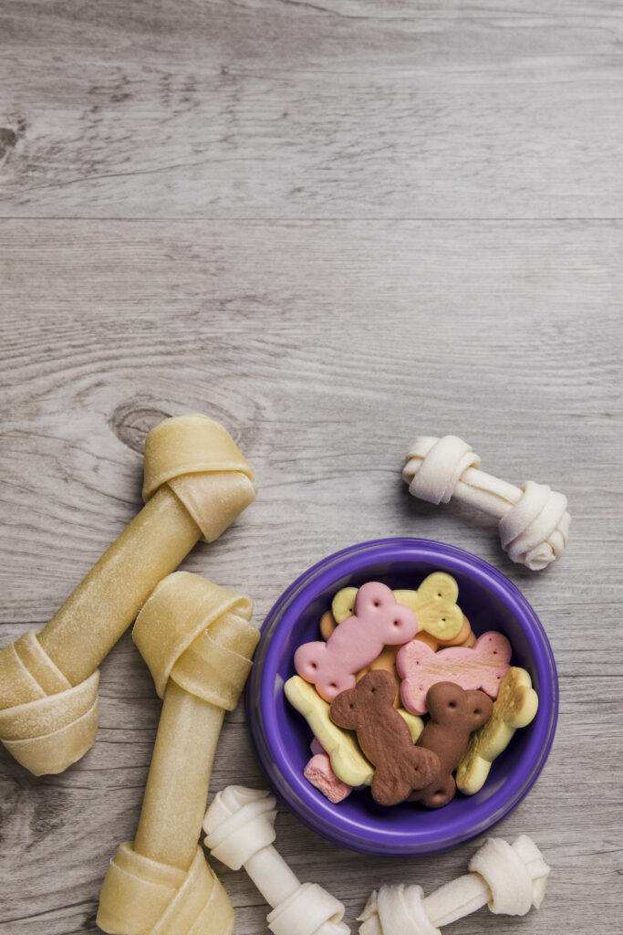 How Milk-Bone Dog Treats Help Improve Your Dog’s Dental Hygiene 1 bowl with dog snacks floor 1
