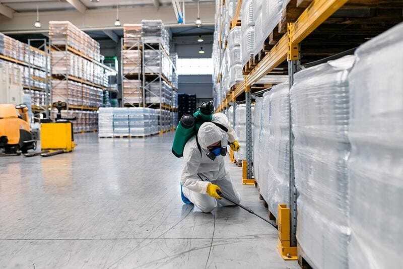 Introduction to Commercial Pest Control in Kitchener ON 2 commercial pest control 1