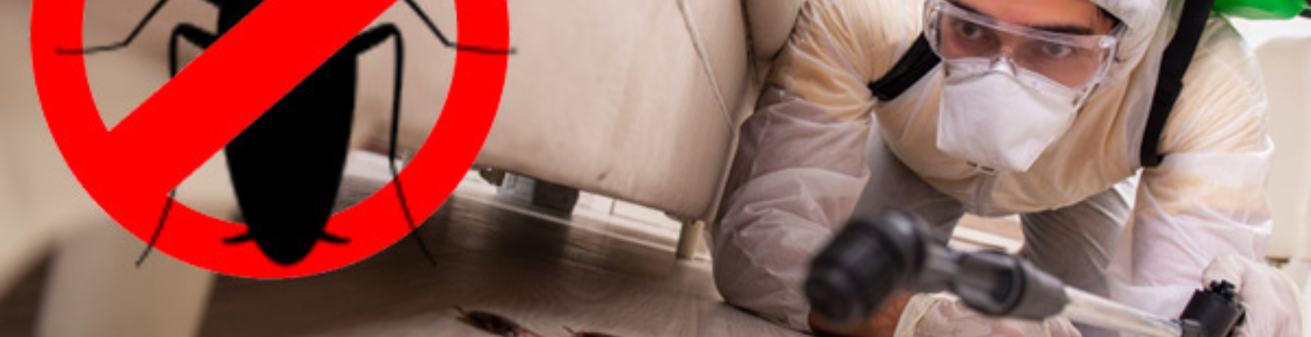 Introduction to Commercial Pest Control in Kitchener ON 1 Introduction to Commercial Pest Control in Kitchener ON