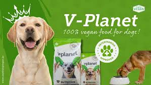 Natural Food for Obese Dogs Dubai 1 Natural Food for Obese Dogs Dubai