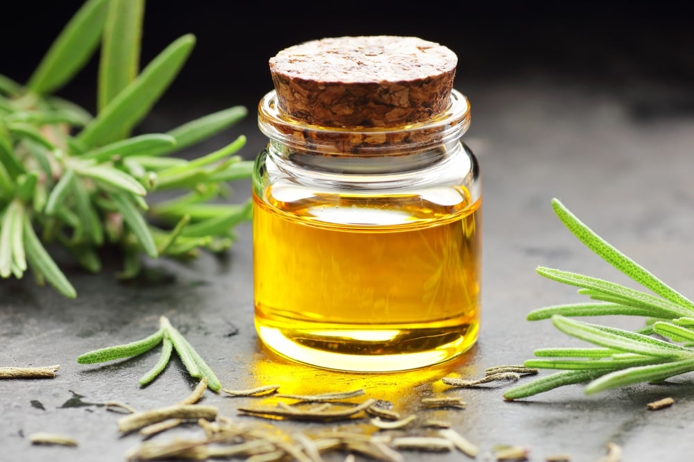 Nourish Your Hair with Hemani Herbal Hair Oil Online in Canada 1 Nourish Your Hair with Hemani Herbal Hair Oil Online in Canada