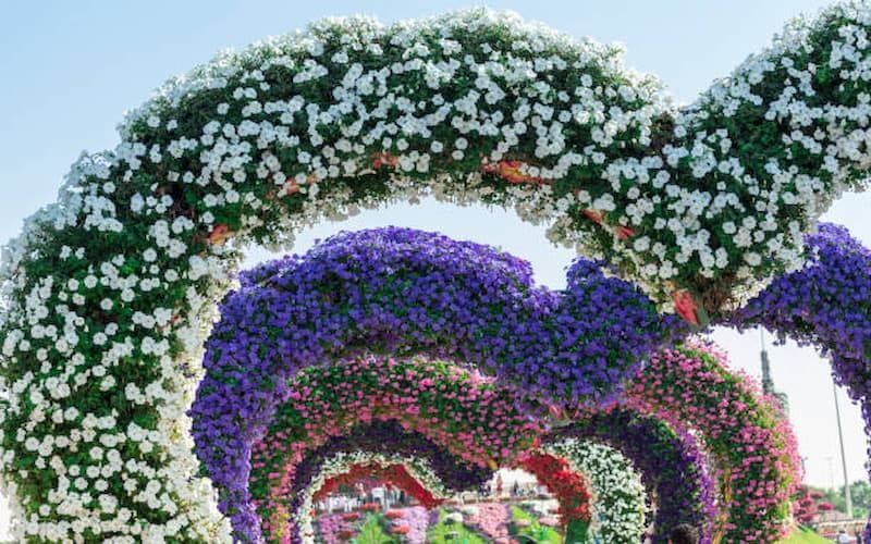 The Best Outdoor Activities in Dubai 4 image 5