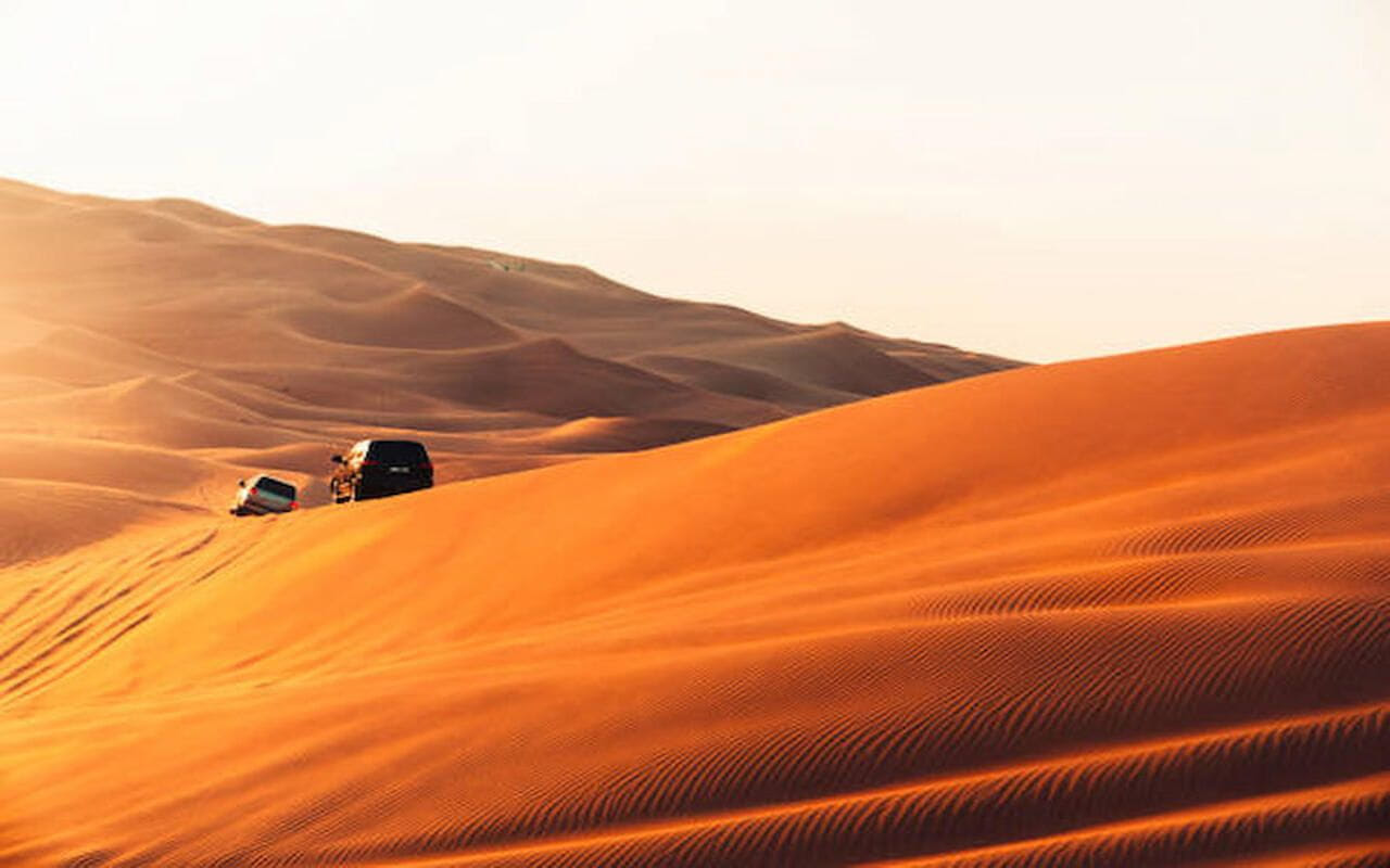 Top Activities to Enjoy During Dubai's Evening Desert Safari 2 image 53
