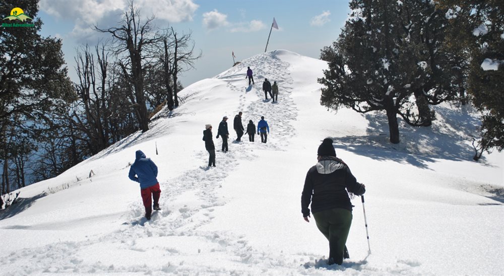 The Ultimate Nag Tibba Trek Guide: Everything Trekkers Need to Know 1 The Ultimate Nag Tibba Trek Guide: Everything Trekkers Need to Know