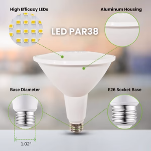 Guide to Wet Location LED Strip Lights: Perfect Illumination for Indoor and Outdoor Spaces